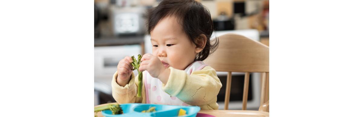 (Foto: Reprodução)