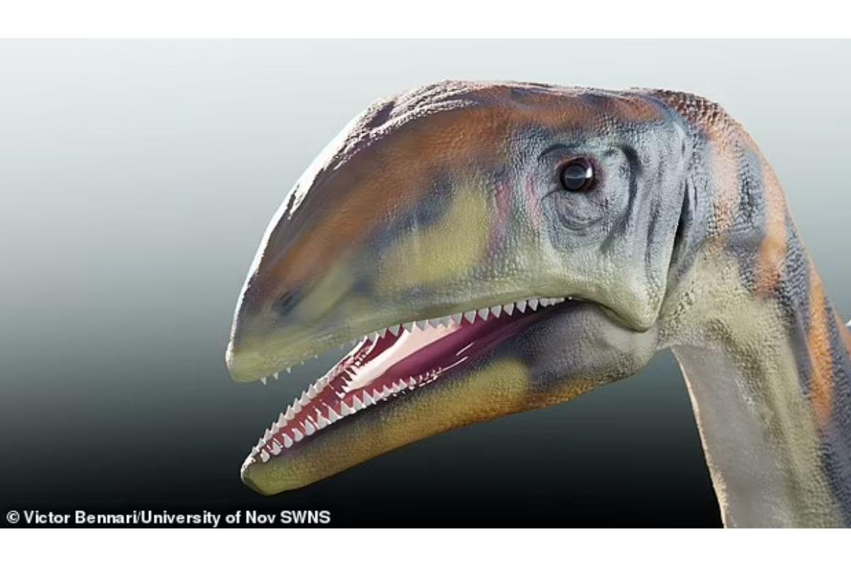 Cientistas descobrem nova espécie de dinossauro que chegou a atingir 13 metros de comprimento!