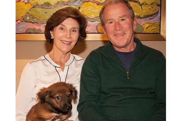 (Foto: Reprodução/Instagram @laurawbush)