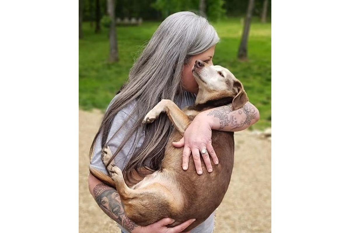 Valerie percebeu que diversos cães idosos não eram aceitos em abrigos por conta da idade, e por isso, decidiu abrir o próprio espaço para recebê-los