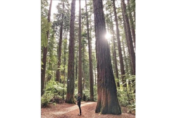 (Foto: Reprodução)