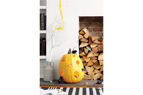 (Foto: Dane Tashima)