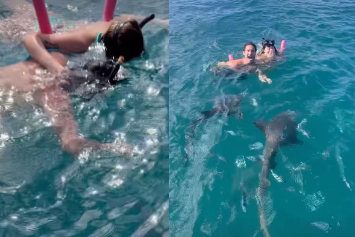 Stories da Viih Tube em que ela e Eli nadam com tubarões