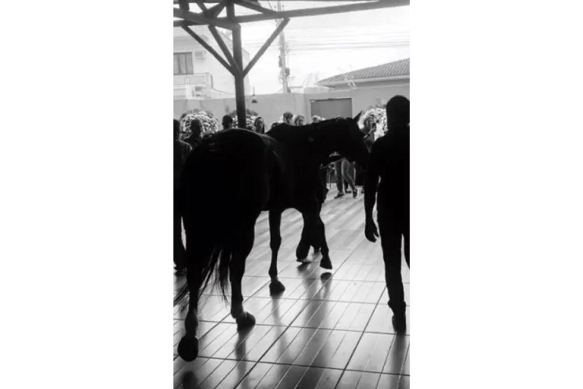 O cavalo foi no velório da criança