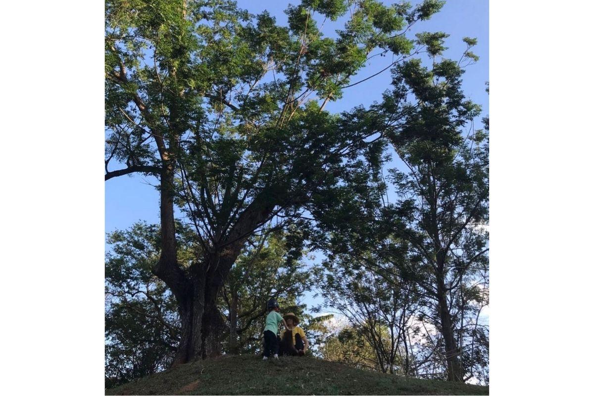 Marlene e Otto brincando ao ar livre