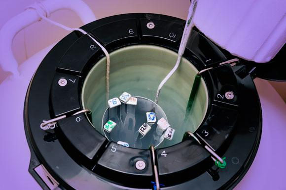 MIOLO_congelamento de esperma