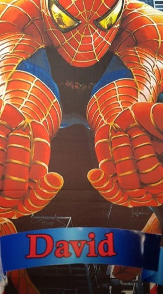 (Foto: Reprodução Instagram / @elpisdecorart)