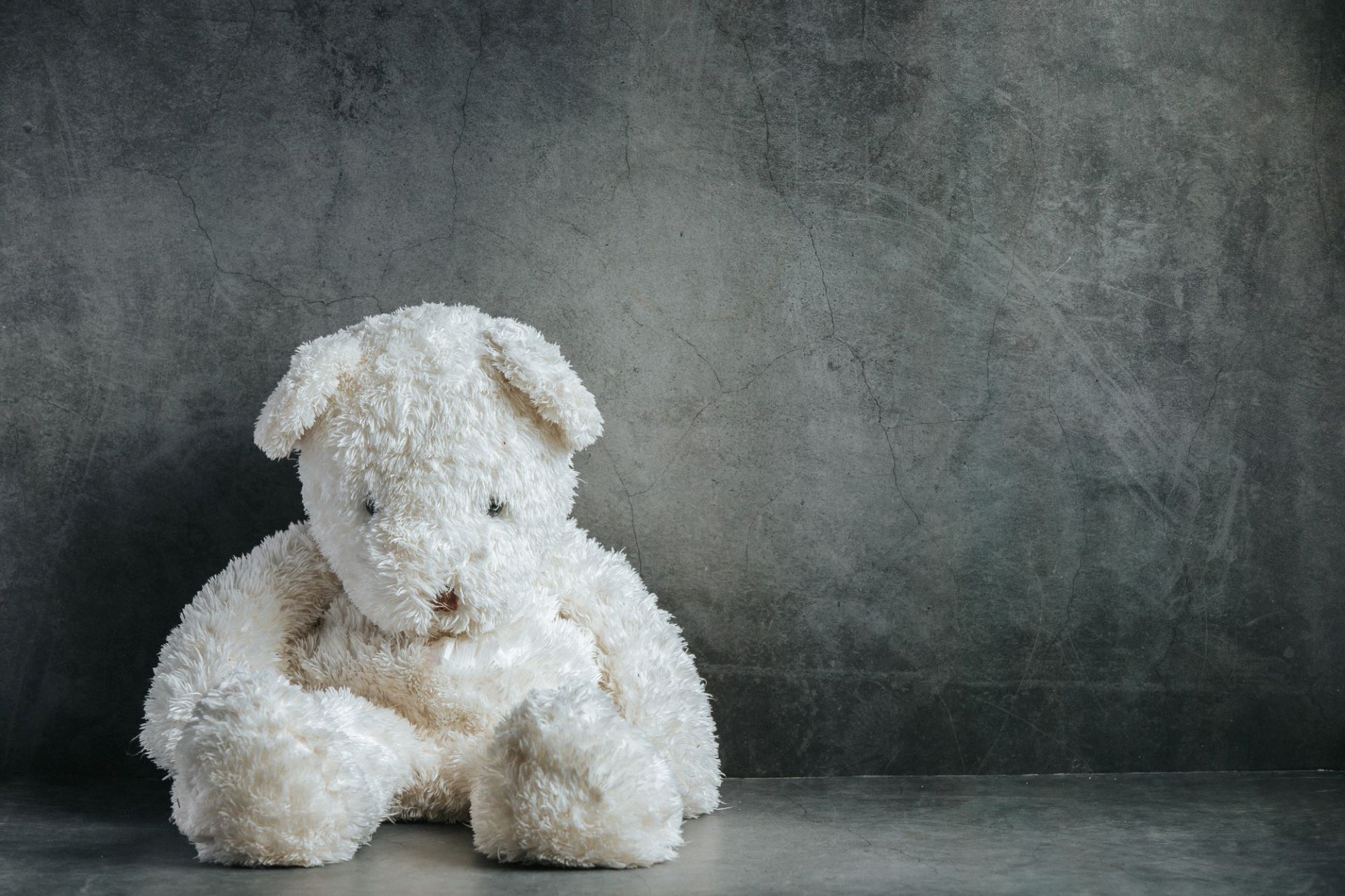 Urso de pel&uacute;cia em canto para foto