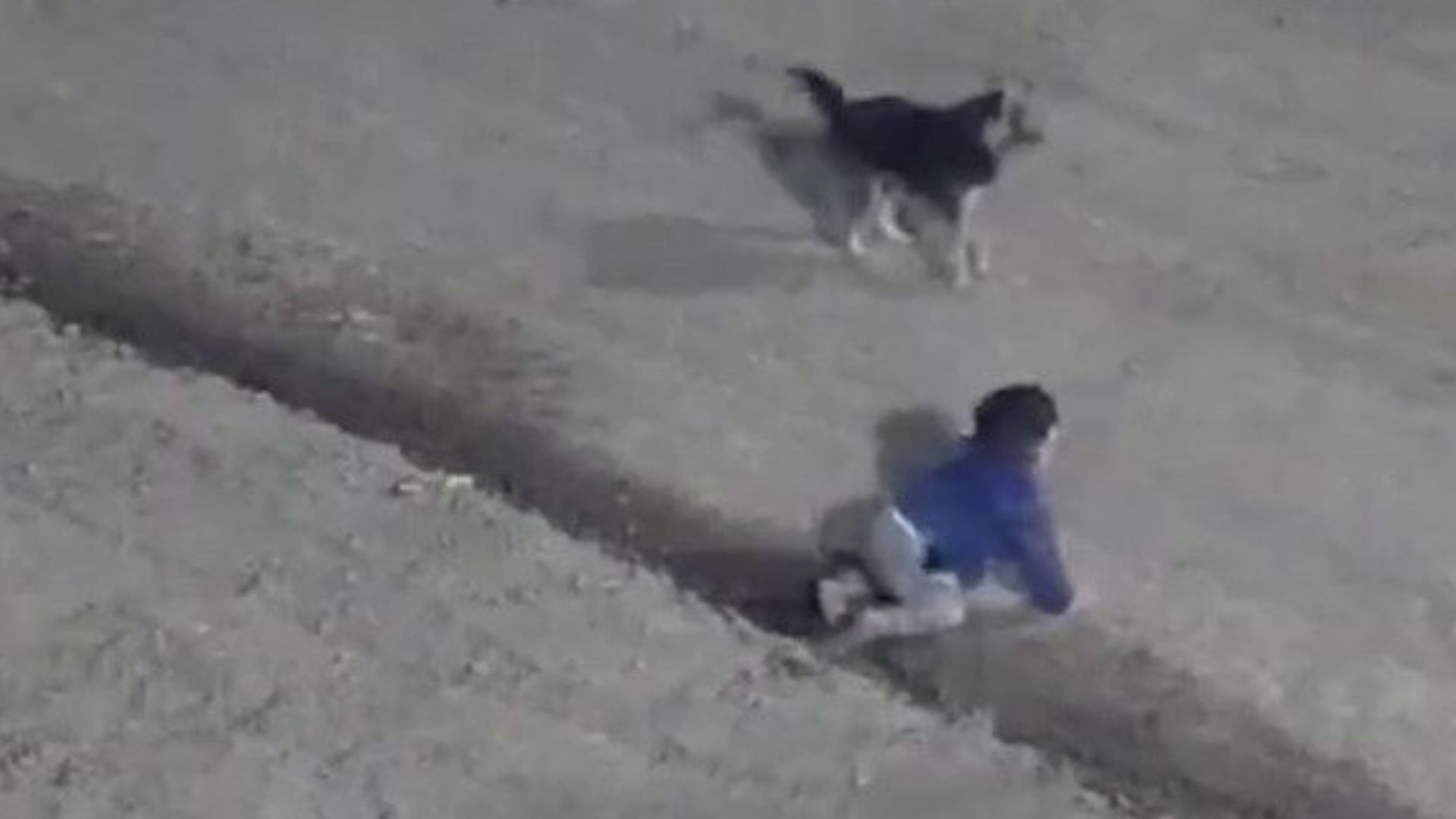 Beb&ecirc; e cachorro 