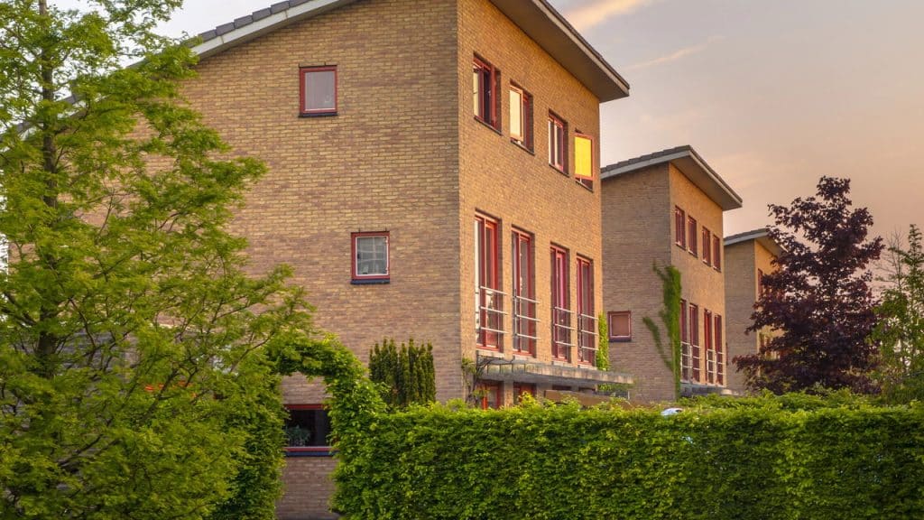 Decoração e proteção! 5 plantas para cercas vivas