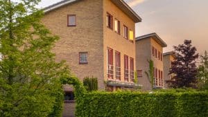 Decoração e proteção! 5 plantas para cercas vivas