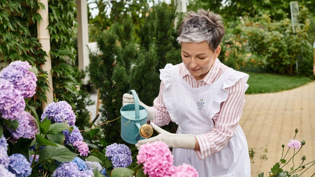 O encanto da Hortênsia, uma flor para todos os gostos!