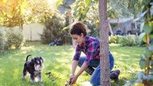 Conheça 5 plantas que são tóxicas para seus pets