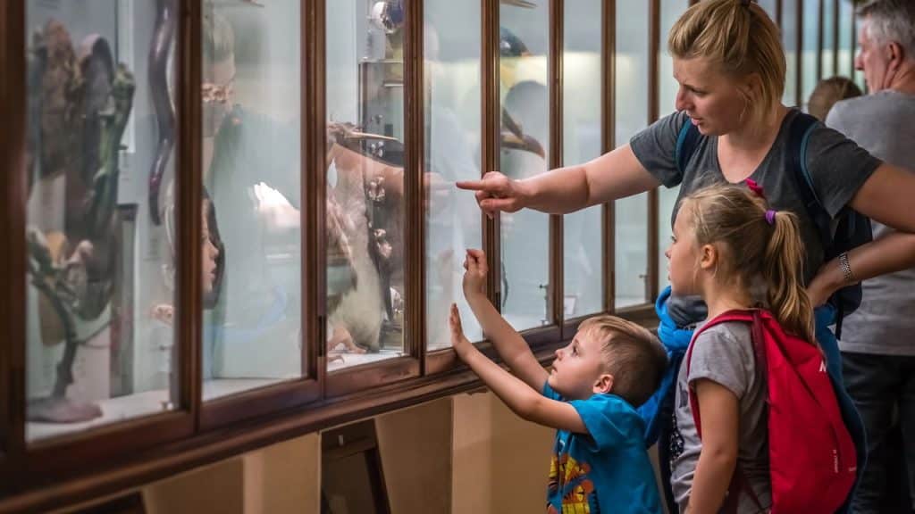 Explorando o mundo, as cidades culturais ideais para famílias apaixonadas por arte