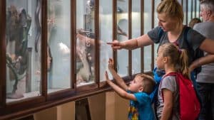 Explorando o mundo, as cidades culturais ideais para famílias apaixonadas por arte