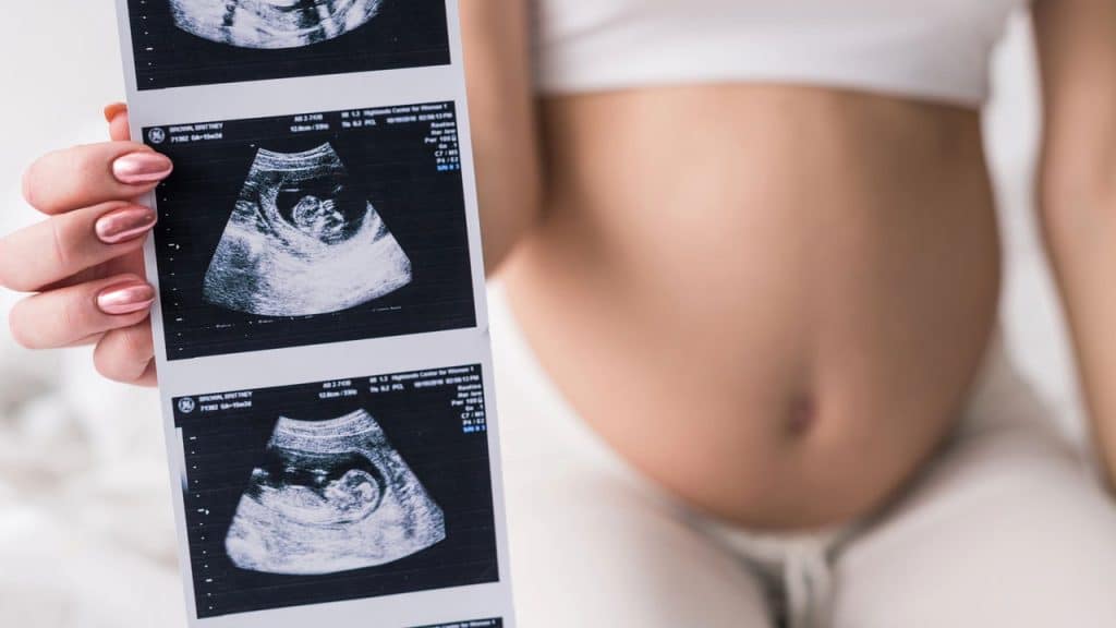 Novo órgão durante a gravidez? mito ou realidade?