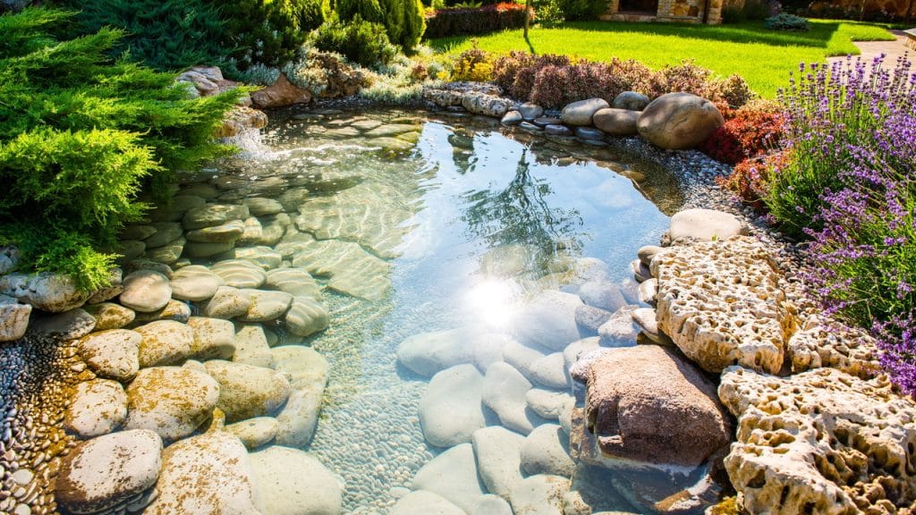 Plantas perfeitas para um jardim de verão vibrante