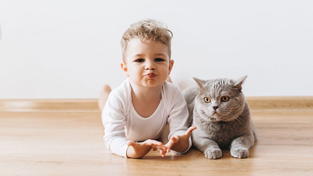 O nome Thales tem um significado lindo e cheio de vida