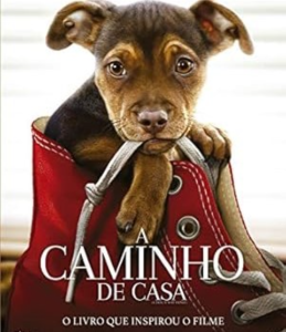 A Caminho de Casa! O Filme Que Vai Fazer Você Acreditar no Poder dos Laços