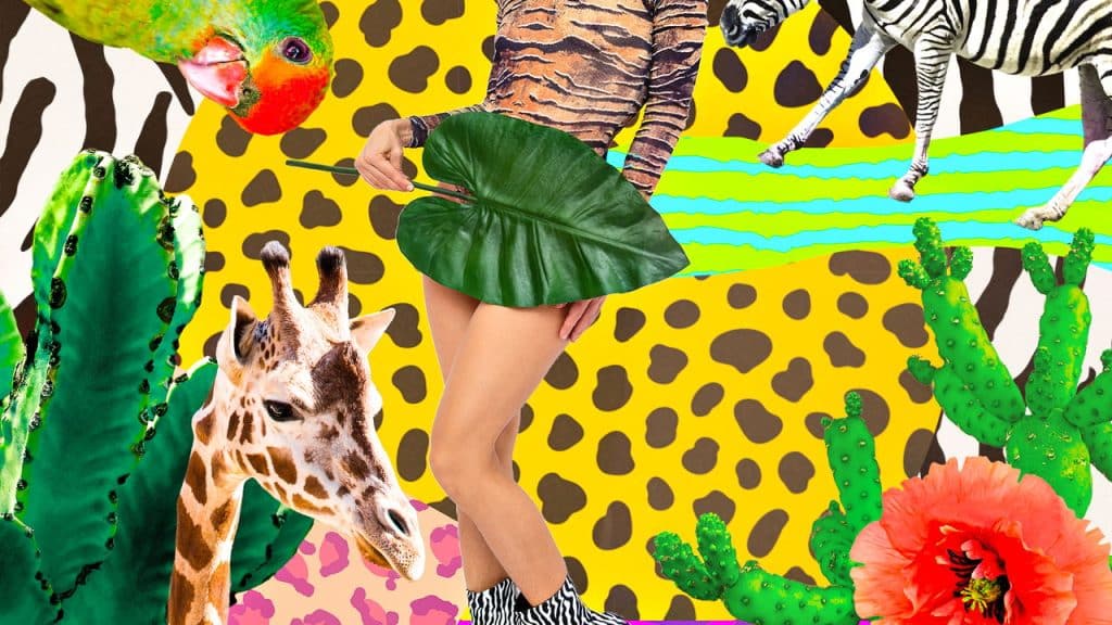 Vista sua atitude! O animal print É mais que estilo, é personalidade