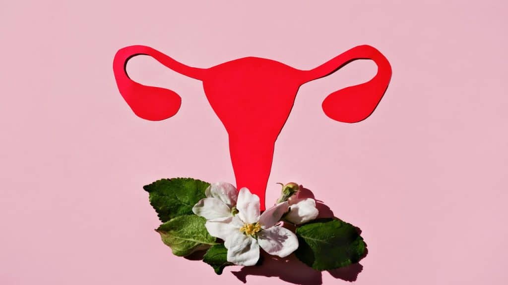 A forma mais inteligente de treinar respeitando seu ciclo

