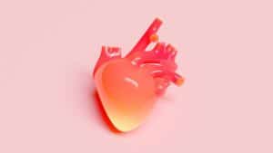 Coração humano em fundo rosa, representando a cardiopatia congênita em crianças.