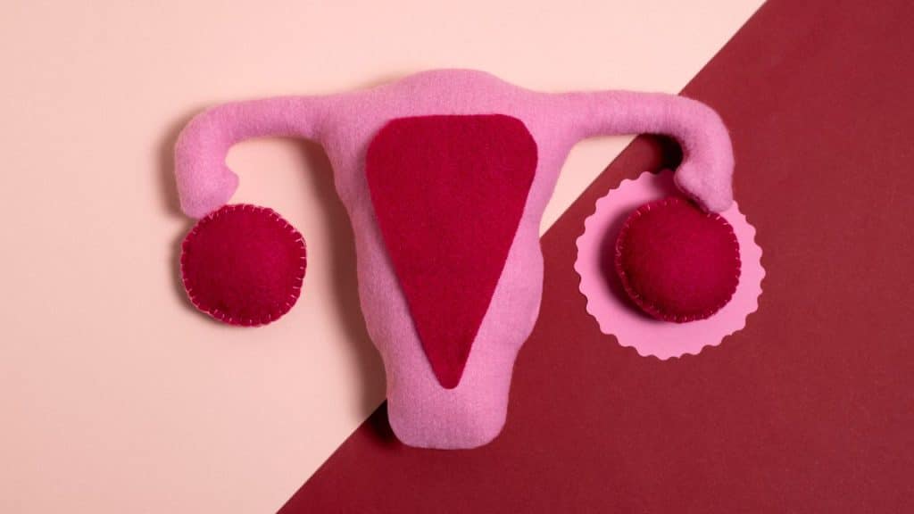 Sistema reprodutivo feminino em pano, em um fundo rosa claro e escuro, representando a gravidez ectópica.