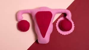 Sistema reprodutivo feminino em pano, em um fundo rosa claro e escuro, representando a gravidez ectópica.