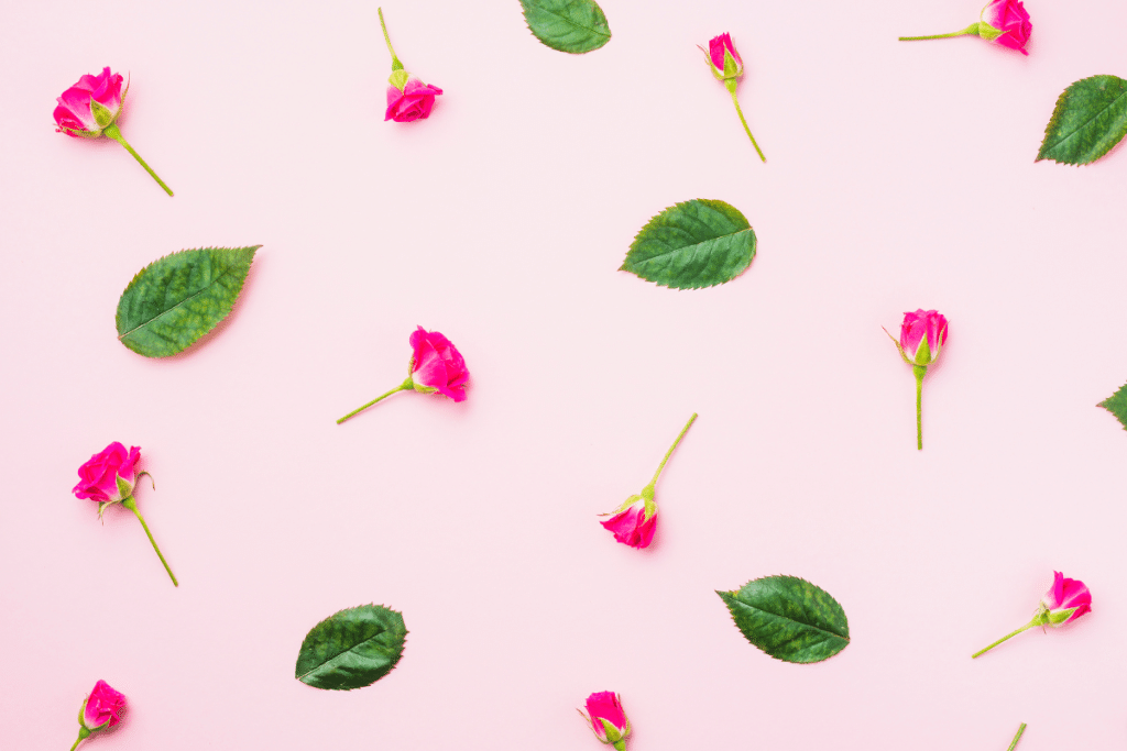 folhas e flores caindo