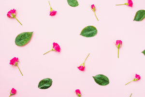 folhas e flores caindo