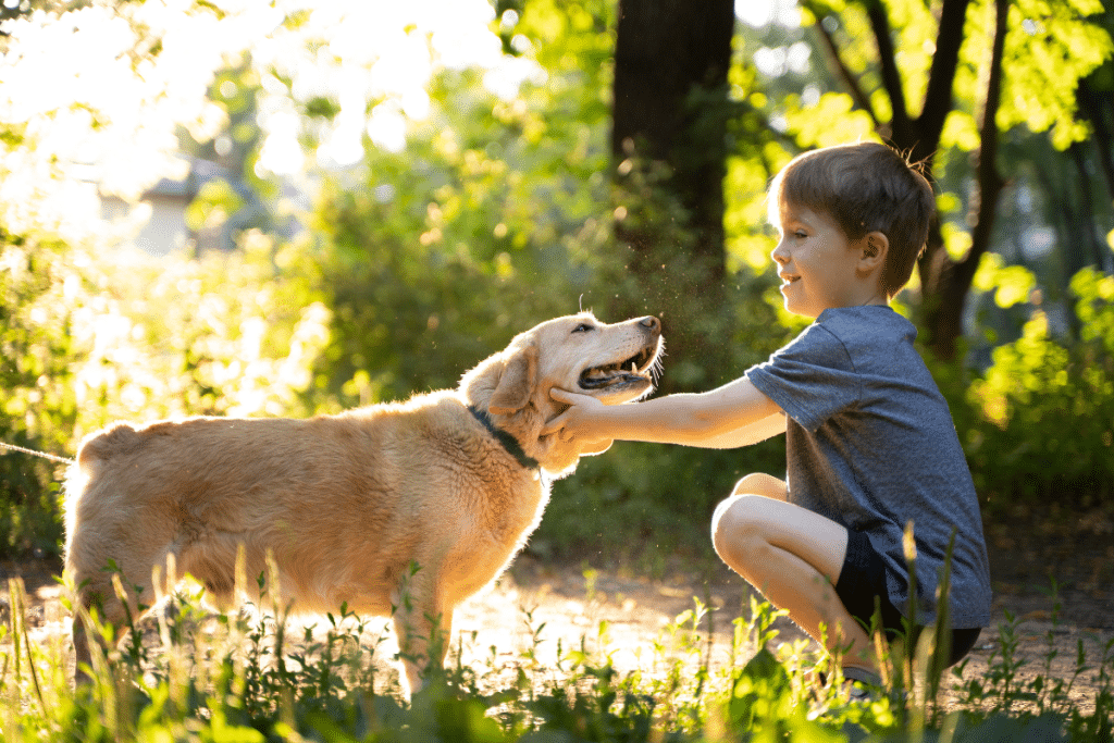Conheça 7 benefícios que um pet trará para seu filho.