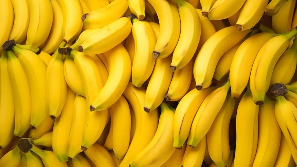 Pencas de bananas compondo um fundo uniforme.