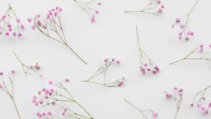 Pequenas flores rosadas em fundo branco simbolizando nomes de menina.