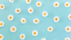 Flores em um fundo azul representando as alergias respiratórias da primavera.