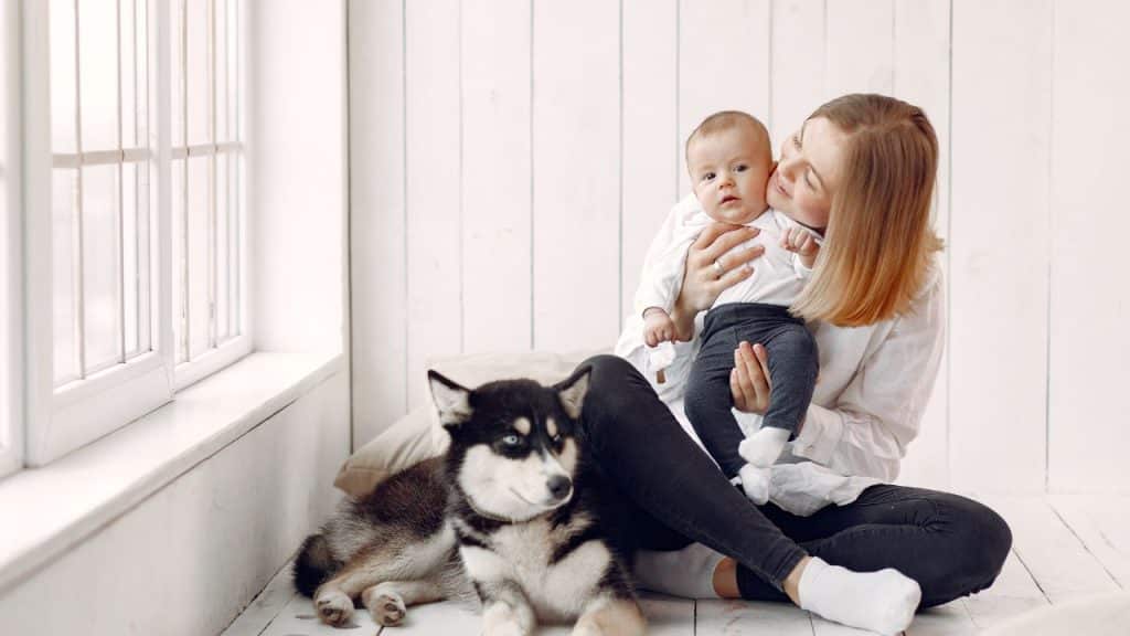 Mãe, bebê e pet em um ambiente de cor clara com janela.