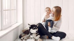 Mãe, bebê e pet em um ambiente de cor clara com janela.