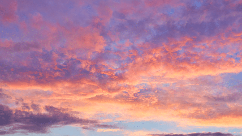 Como falar sobre a morte de um pet com meu filho?