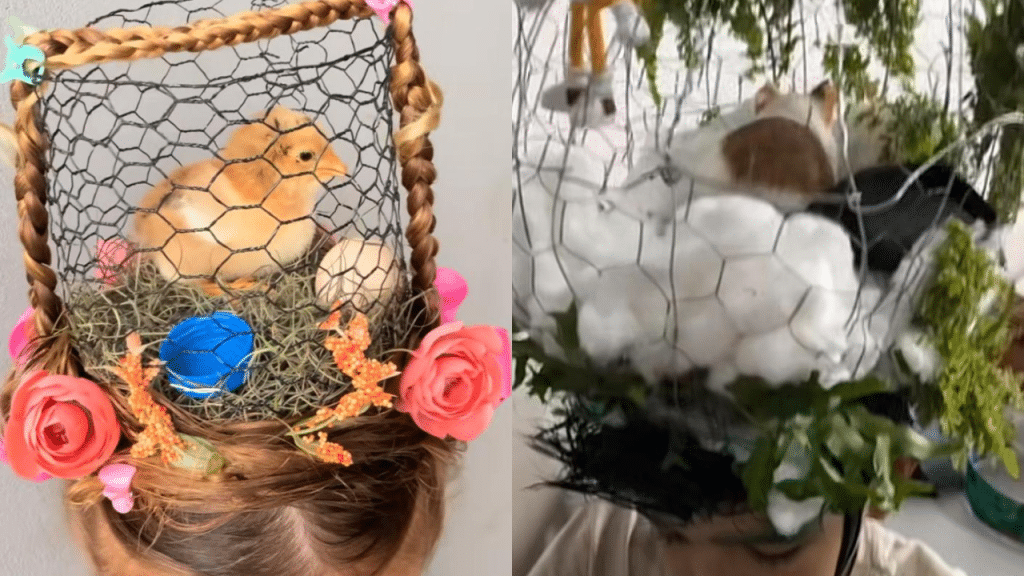 Crinaças com penteados com animais na cabeça (um pinto e um ramster)